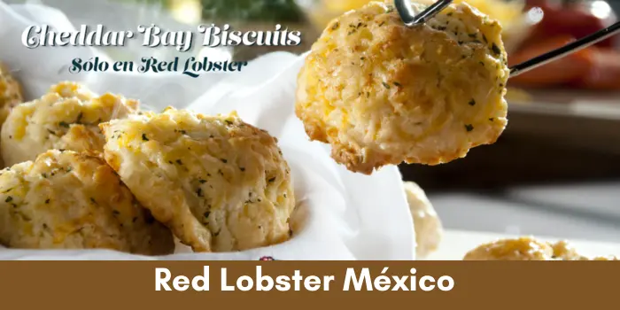 Red Lobster México